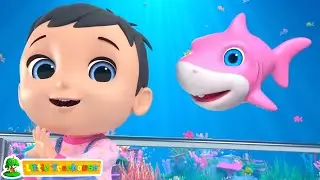 Детеныш акулы песня + Более дошкольное учусь видео для детей
