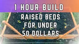 HOW TO | EASY Fence Board Raised Garden Beds For UNDER 50 DOLLARS! Learn In Less Than 5 Minutes!