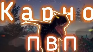 Пвп за карно в курседе