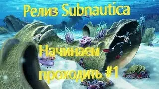 Subnautica release. We begin to pass.