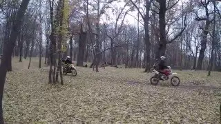 Выгуливаемся)