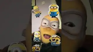 миньён