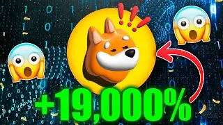 QUE ES BONK 🐶 2024 | El SALVADOR de SOLANA | Nuevos Millonarios