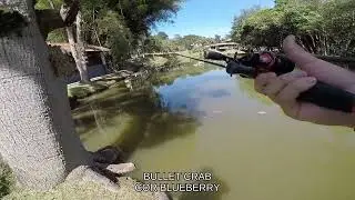 Essa isca me supreendeu na pescaria de traíras