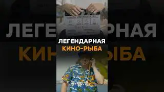 Шоураннер проекта «Она манит аномально» Антон Мищенко  занимался кастингом не только людей, но и..