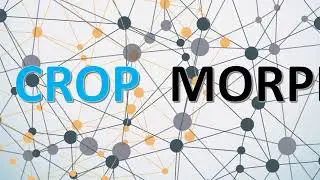 MORPH CROP TRANSITION EFFECT RESULT