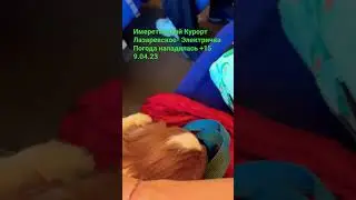 Имеретинский Курорт  Лазаревское.Электричка поезд 🚆 хорошая погода+15 вид из окна прекрасный 9.04.23