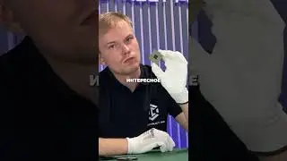 Назначение ножек процессора