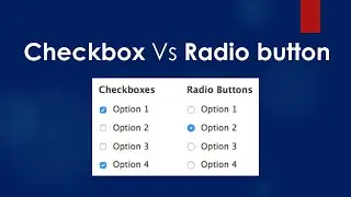 check box and radio button