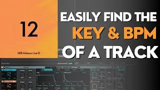 Find the BPM + Key of Any Song in Ableton (Fast + Accurate)