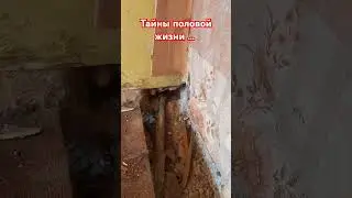 демонтаж пола
