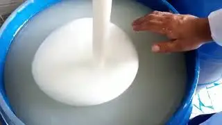 تصنيع المنظفات hmms صابون و الديتول والشامبو والشاور