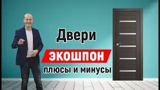 Вся правда о дверях Экошпон