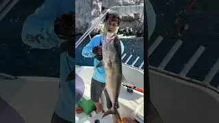 KUZU AVI 130 GRAM JİG İLE