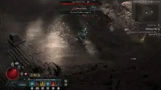 Diablo IV FIRST BUTCHER ENCOUNTER - RING AROUND THE ROSEY