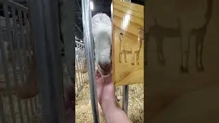 Michigan State Fair 8/31/2024