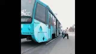Экология. Транспорт