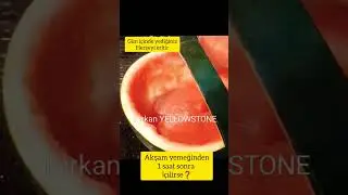 🍉🍉🍉