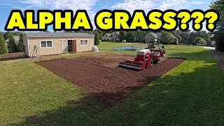 Mowing Lawn Dethatching Slice Seeding Core Aeration Kentucky Bluegrass