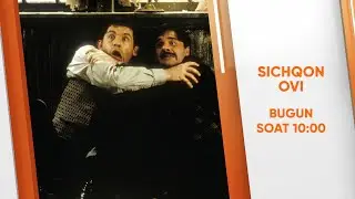 Mouse Hunt. Sichqon ovi.