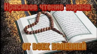Красивое чтение корана, от всех болезней, и для успокоения души