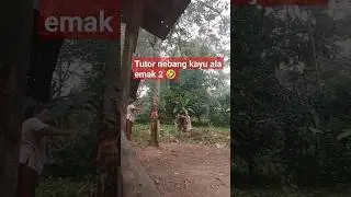 Tutor nebang pohon ala emak² #lucu 🤣