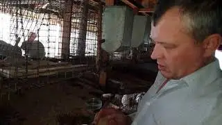 Лучшая поилка  для кроликов!
