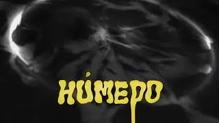 KHZ, Akademix - Húmedo (Visualizer) | VORÁGINE