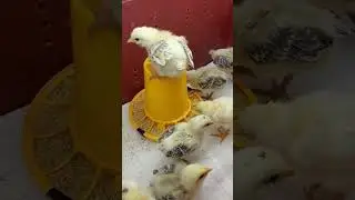Последние дни января! 