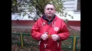 Самолёт о Русском Марше.