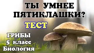 ТЕСТ на знание ГРИБОВ 🍄(Биология 5 класс) 🍄