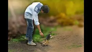 photoshop manipulation tutorial 2017