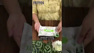 Bed Bath Towels  ASMR