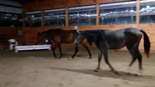 Mother & Son