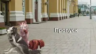 МАП  [14/14] (Ч.О) (ОТМЕНЁН)