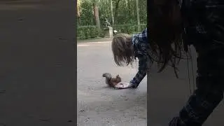 белки в Павловском парке #лето #travel #белка #squirrel #summer #friends #парк