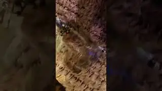 ссылка на канал в шапке профиля #парфюмерия #шалфей