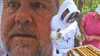 Did I Make a BIG MISTAKE Getting BEES?!