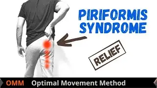 Piriformis Syndrome | Physiotherapy | Piriformis Syndrome Exercises