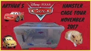 ARTHUR`S DISNEY CARS THEMED HAMSTER CAGE TOUR NOVEMBER 2017