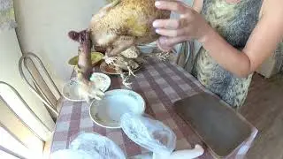 Плюсы и минусы кур несушек с птицефабрики.