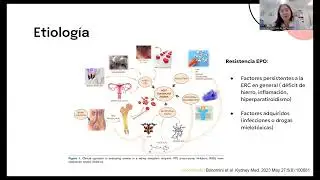 Anemia: ¿Sota, caballo y rey?