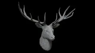 Cinema 4d Character Session #1