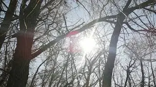 ОТДЫХ//ПРИЯТНОЕ С ПОЛЕЗНЫМ//ТАКАЯ ОБЫЧНАЯ ЖИЗНЬ НА ХУТОРЕ