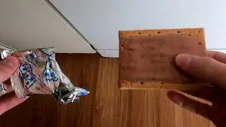morning coffee pop-tart combo with JoJo