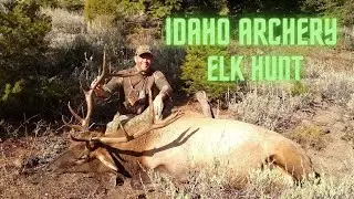 Idaho OTC Archery Elk Hunt: Part 2 Surprise Visitor