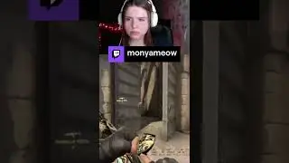 ФЛЕШКА | поддержи меня подпиской на twitch, мой ник monyameow