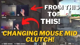 Mouse died mid clutch