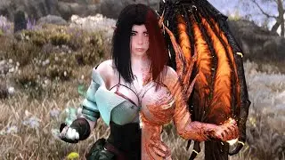 Skyrim SE: A new gameplay concept