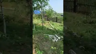 Расчистка участка от деревьев и кустарника 